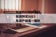 包含四川绵阳富乐投资特定2023年资产拍卖一期的词条