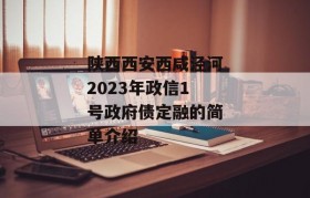 陕西西安西咸泾河2023年政信1号政府债定融的简单介绍