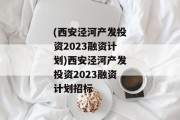 (西安泾河产发投资2023融资计划)西安泾河产发投资2023融资计划招标