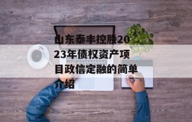 山东泰丰控股2023年债权资产项目政信定融的简单介绍