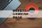 聊城莘县方润2022年债权1号的简单介绍