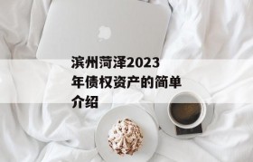 滨州菏泽2023年债权资产的简单介绍