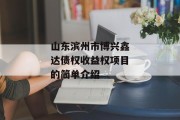 山东滨州市博兴鑫达债权收益权项目的简单介绍