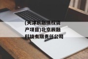 (天津辰融债权资产项目)北京辰融科技有限责任公司