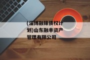 (淄博融锋债权计划)山东融丰资产管理有限公司