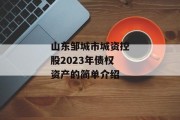 山东邹城市城资控股2023年债权资产的简单介绍