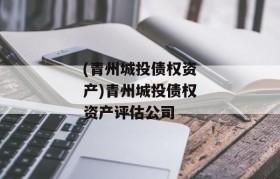 (青州城投债权资产)青州城投债权资产评估公司