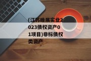 (江苏睢展实业2023债权资产01项目)非标债权类资产