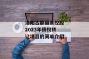 洛阳古都丽景控股2023年债权转让项目的简单介绍