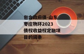 包含政府债-山东枣庄物环2023债权收益权定融项目的词条