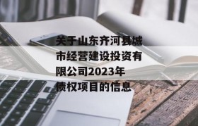 关于山东齐河县城市经营建设投资有限公司2023年债权项目的信息