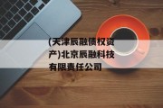 (天津辰融债权资产)北京辰融科技有限责任公司