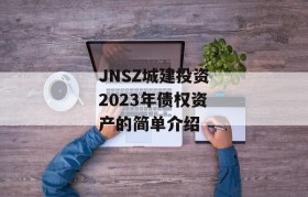 JNSZ城建投资2023年债权资产的简单介绍