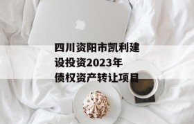 四川资阳市凯利建设投资2023年债权资产转让项目