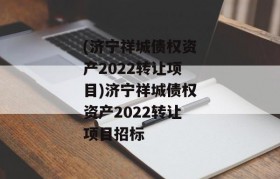(济宁祥城债权资产2022转让项目)济宁祥城债权资产2022转让项目招标