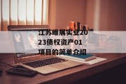 江苏睢展实业2023债权资产01项目的简单介绍