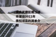 重庆武隆区隆江城市建设2023年债权项目的简单介绍