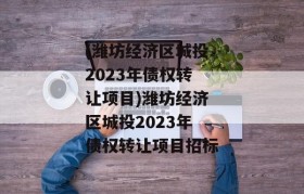 (潍坊经济区城投2023年债权转让项目)潍坊经济区城投2023年债权转让项目招标