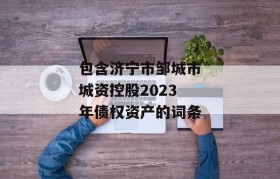 包含济宁市邹城市城资控股2023年债权资产的词条