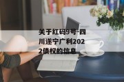 关于红码9号-四川遂宁广利2022债权的信息