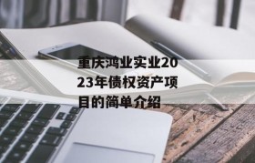 重庆鸿业实业2023年债权资产项目的简单介绍