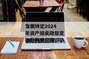 四川遂宁广利工业发展特定2024年资产拍卖政信定融的简单介绍
