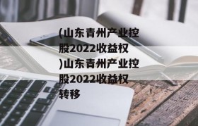 (山东青州产业控股2022收益权)山东青州产业控股2022收益权转移