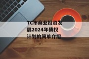 TC市商业投资发展2024年债权计划的简单介绍