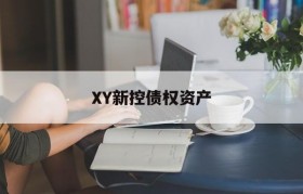 XY新控债权资产