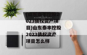 (山东泰丰控股2023债权资产项目)山东泰丰控股2023债权资产项目怎么样