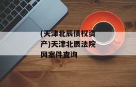 (天津北辰债权资产)天津北辰法院网案件查询