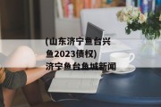 (山东济宁鱼台兴鱼2023债权)济宁鱼台鱼城新闻