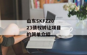 山东SKFZ2023债权转让项目的简单介绍