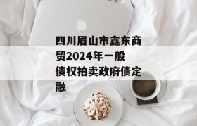 四川眉山市鑫东商贸2024年一般债权拍卖政府债定融