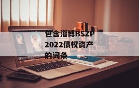 包含淄博BSZP2022债权资产的词条