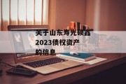 关于山东寿光硕鑫2023债权资产的信息