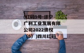 (红码9号-遂宁广利工业发展有限公司2022债权（5）)四川红码
