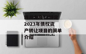 四川龙泉TZ特定2023年债权资产转让项目的简单介绍