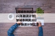 (邹城市利民2022年融资计划)邹城市利民2022年融资计划公告