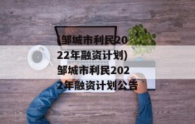 (邹城市利民2022年融资计划)邹城市利民2022年融资计划公告