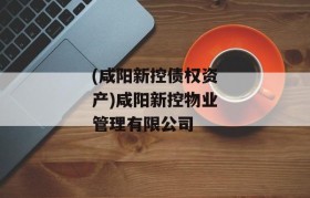 (咸阳新控债权资产)咸阳新控物业管理有限公司