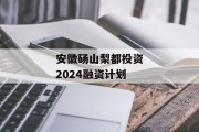 安徽砀山梨都投资2024融资计划
