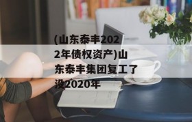 (山东泰丰2022年债权资产)山东泰丰集团复工了没2020年