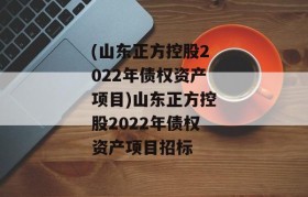 (山东正方控股2022年债权资产项目)山东正方控股2022年债权资产项目招标