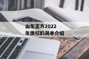 山东正方2022年债权的简单介绍