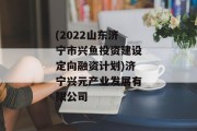 (2022山东济宁市兴鱼投资建设定向融资计划)济宁兴元产业发展有限公司