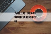 万疆五号·菏泽郓城城投债的简单介绍