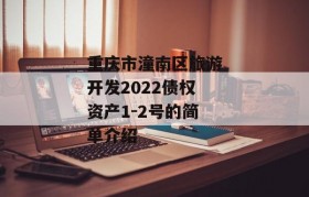 重庆市潼南区旅游开发2022债权资产1-2号的简单介绍