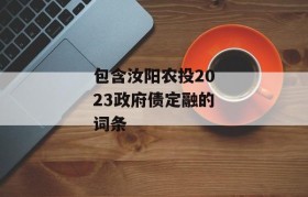 包含汝阳农投2023政府债定融的词条