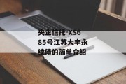 央企信托-XS685号江苏大丰永续债的简单介绍